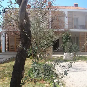Lipa Zadar